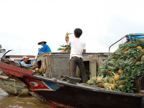 Tham quan vẻ đẹp chợ nổi Cái Bè 